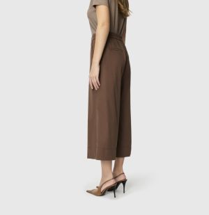 fawn brown 278