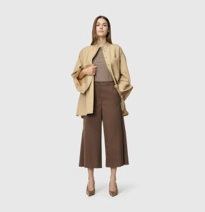 fawn brown 278