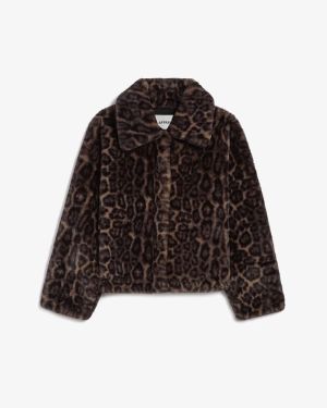  DARK LEOPARD DR