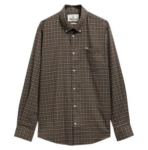 OL51 OLIVE