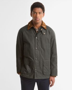 SG51 SAGE