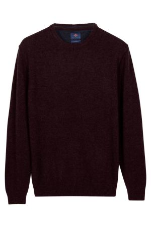  495 Dark Cassis