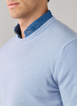  501 Light Blue 